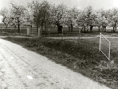 94650 Gezicht op een boomgaard met kersenbomen in bloei in de Polder Haarrijn, gelegen ten noorden van de Thematerweg ...